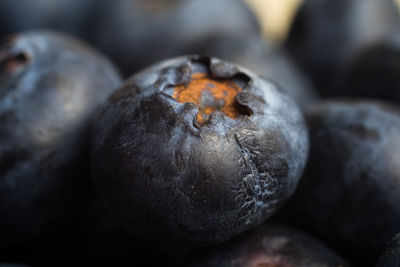 Macro photo of ripe blueberries