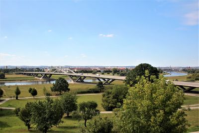 Trees on field against sky