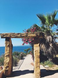 Palm tree by sea against clear blue sky