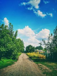 Empty road along trees and plants against sky