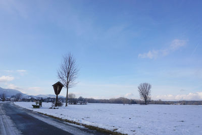 Trees against sky during winter