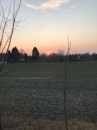 Scenic view of field against sky during sunset