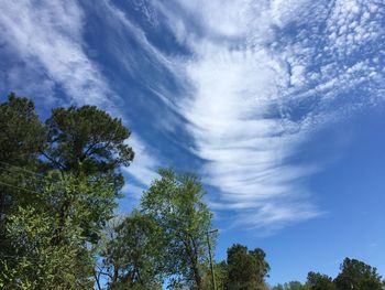 Low angle view of trees against cloudy sky