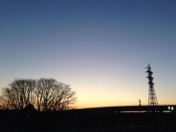 Silhouette trees at sunset