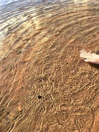 Full frame shot of sandy beach