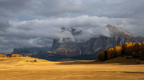 Seiser alm, dolomites