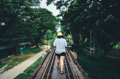 Rear view of woman walking on walkway amidst plants