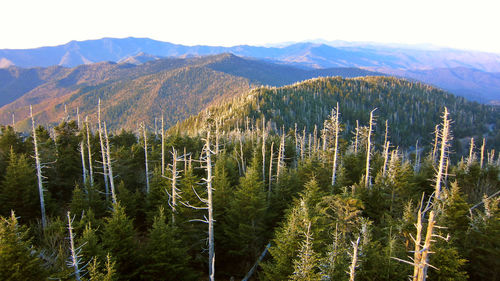 High angle view of trees against mountain range