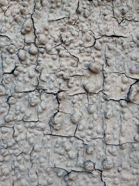 Detail shot of cracked wall