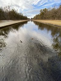 View of birds swimming in lake