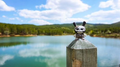 Bird on wooden post in lake against sky