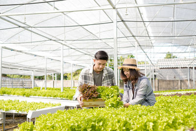 Young man working in greenhouse