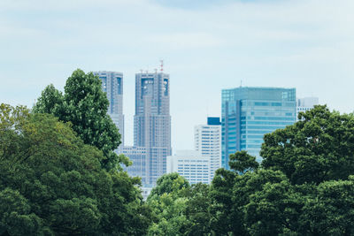 Trees and buildings against sky