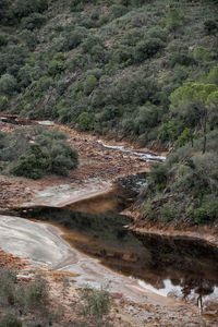 High angle view of stream flowing in forest