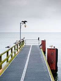 Empty pier in harbor. steel grate board. black cormorant sit on lamp. autumn mist on pier above sea.