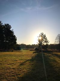 Scenic view of field against clear sky during sunset