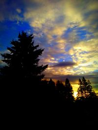 Silhouette trees against sky during sunset