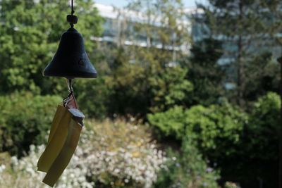 Close-up of bird hanging on tree trunk in yard