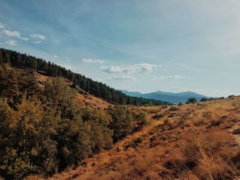 Scenic view of landscape against sky