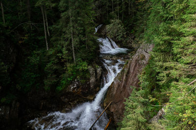 Scenic view of waterfall in forest