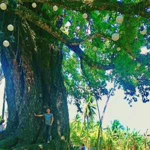 Full length of woman standing on tree trunk