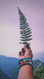 Woman holding plant against mountain against sky