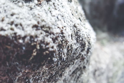 Close-up of water on beach