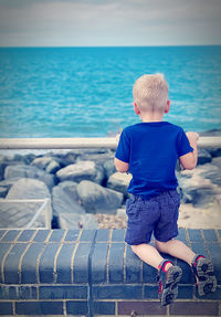 Rear view of boy on sea shore against sky