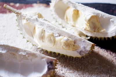 Close-up of seashell