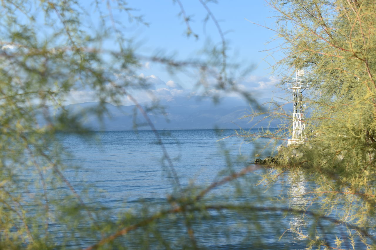 nature, water, plant, tree, beauty in nature, reflection, tranquility, leaf, autumn, no people, sky, branch, day, lake, scenics - nature, tranquil scene, sunlight, outdoors, growth, non-urban scene, land, idyllic, flower