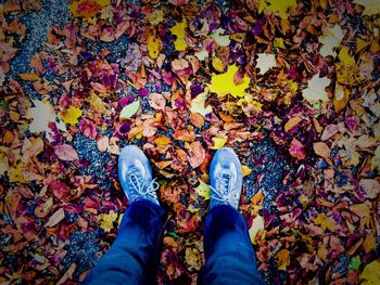 Low section of man standing on multi colored autumn leaves