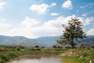 Scenic view of lake against sky