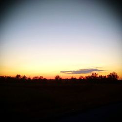 Silhouette trees on field against clear sky