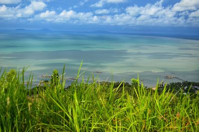 Panoramic ocean