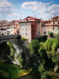 View of plants and bridge against sky