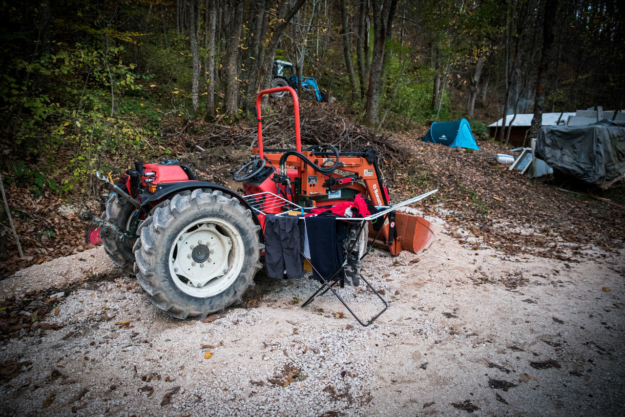 TRACTOR IN FOREST