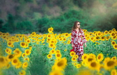 Woman standing on yellow flowering field