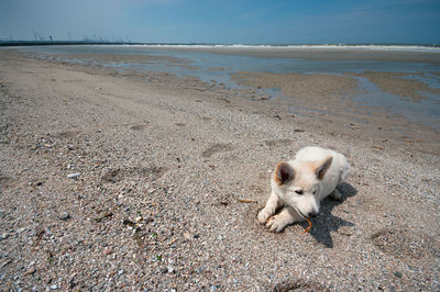 beach