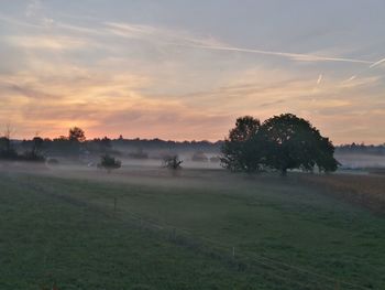 Scenic view of field against sky during sunset