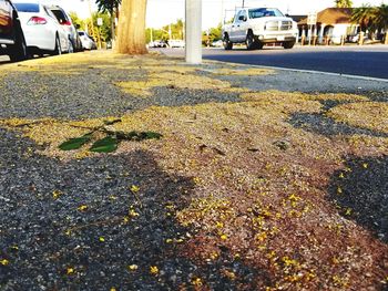 View of traffic on road
