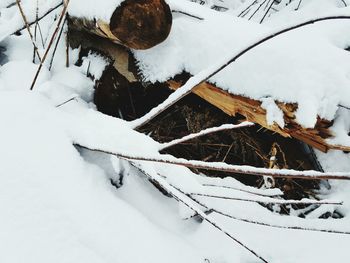 Close-up of snow