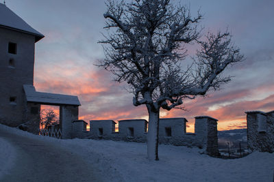 Bare tree and buildings against sky during winter