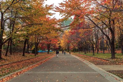 Footpath amidst trees in park during autumn