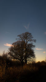 Silhouette tree against sky during sunset