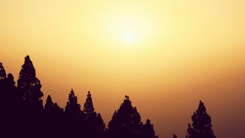 Silhouette trees against clear sky during sunset