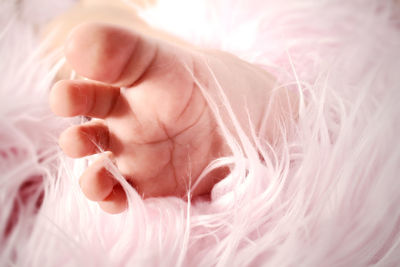 Close-up of baby girl foot by fake fur