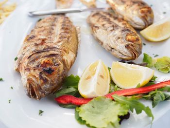 Close-up of seafood served in plate