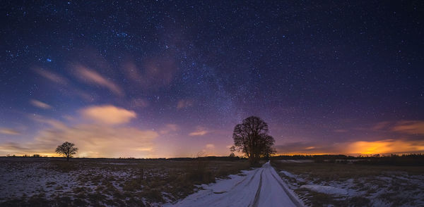 Rear view of man standing on road against sky at night