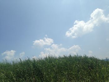 Scenic view of field against cloudy sky