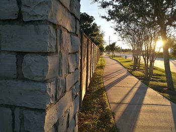 Walkway amidst trees against sky